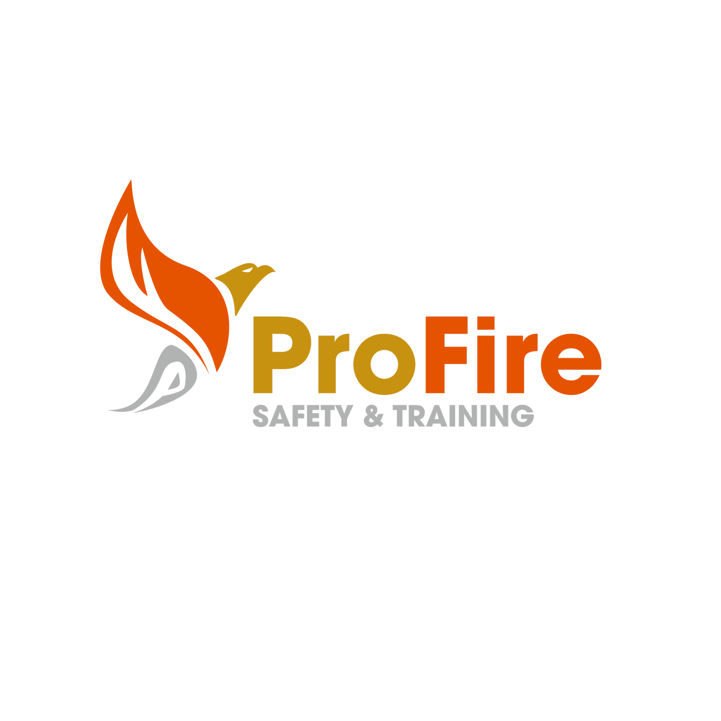Pro Fire Safety & Training Ltd Logo